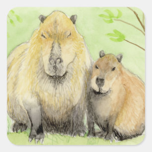 Capybara Quadratischer Aufkleber