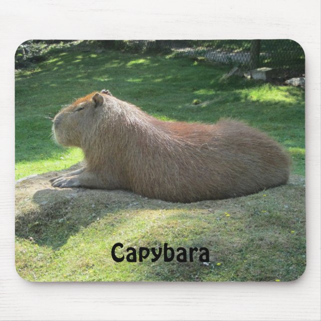 Capybara - Riesennagetier Mousepad (Vorne)