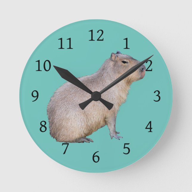 Capybara Runde Wanduhr (Vorderseite)