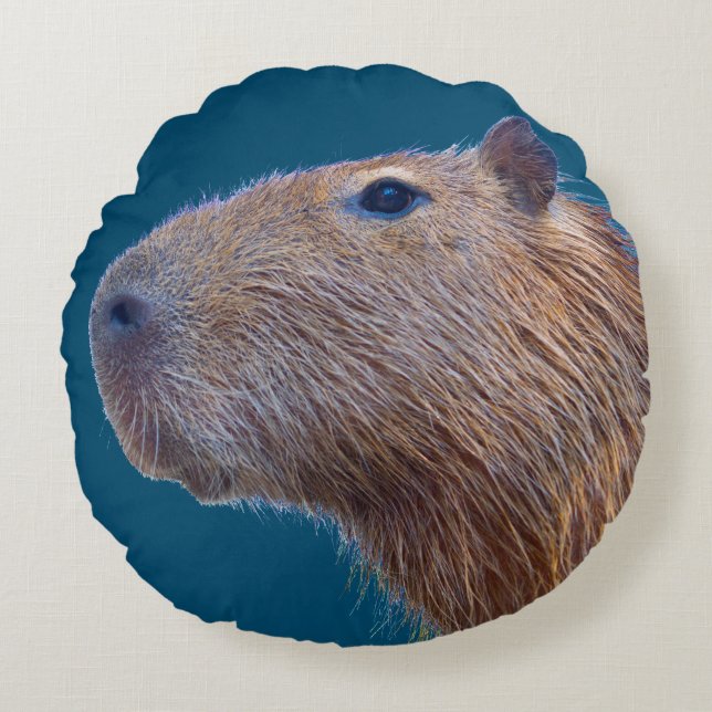 Capybara Rundes Kissen (Vorderseite)