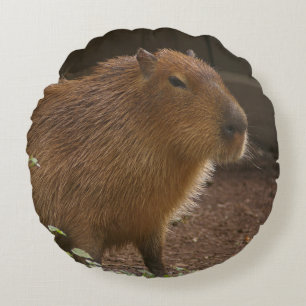 Capybara Rundes Kissen