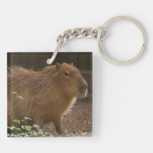 Capybara Schlüsselanhänger