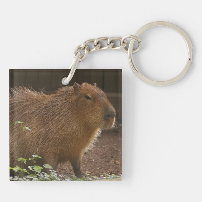 Capybara Schlüsselanhänger (Rückseite)