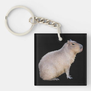 Capybara Schlüsselanhänger