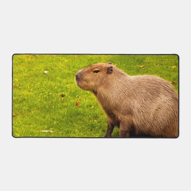 Capybara Schreibtischunterlage (Vorderseite)