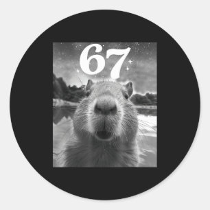 Capybara-Selfie mit 67 Meme Capy Grafik für Männer Runder Aufkleber