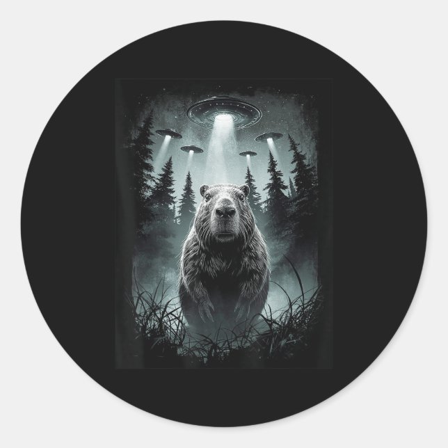Capybara Selfie mit Alien Ufo Funny Capybara Gesch Runder Aufkleber (Vorderseite)