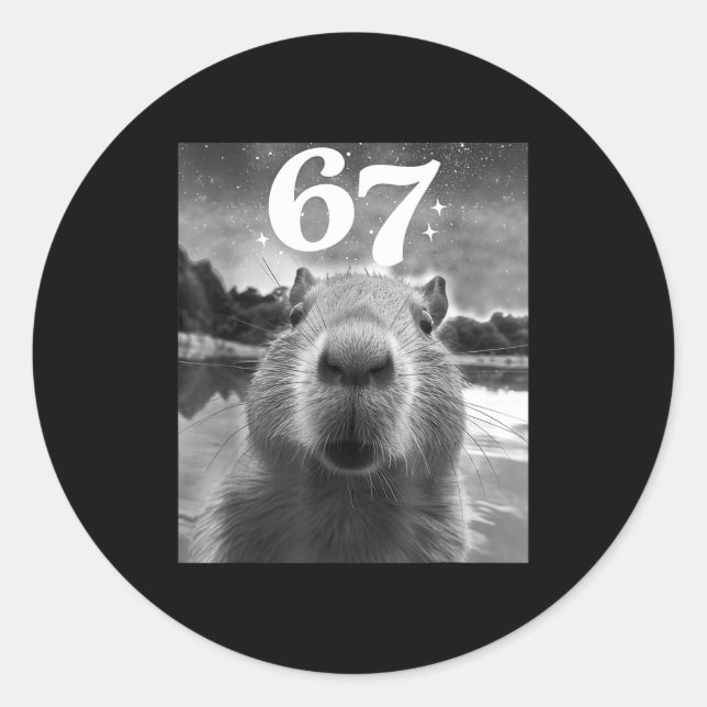 Capybara Selfie With 67 Meme Capy Graphic For Men  Runder Aufkleber (Vorderseite)