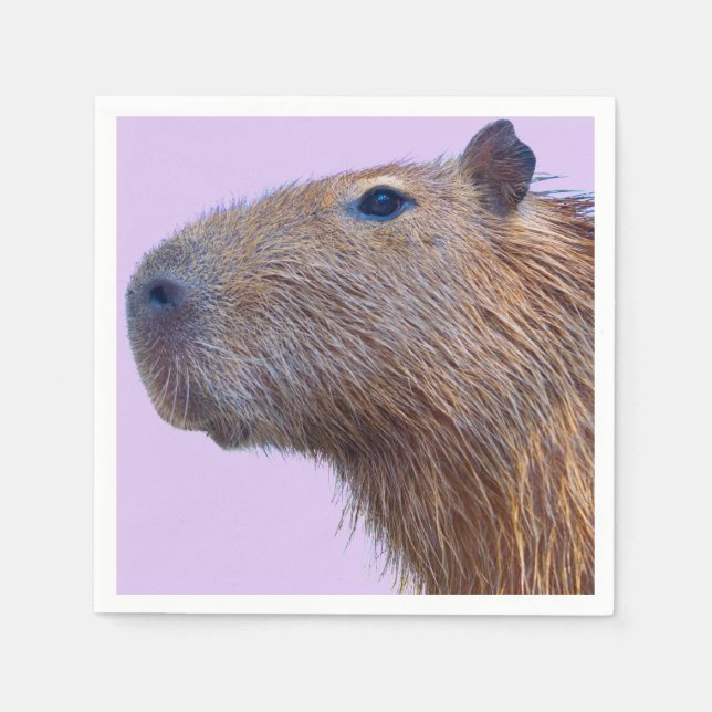Capybara Serviette (Vorderseite)