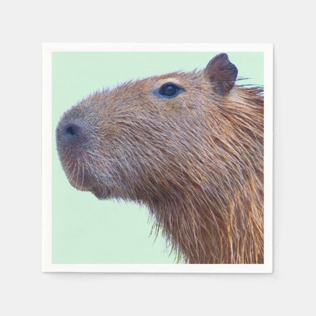 Capybara Serviette (Vorderseite)