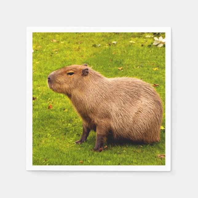 Capybara Serviette (Vorderseite)