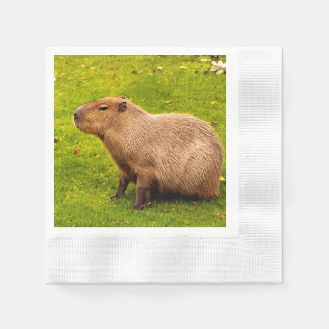 Capybara Serviette (Vorderseite)