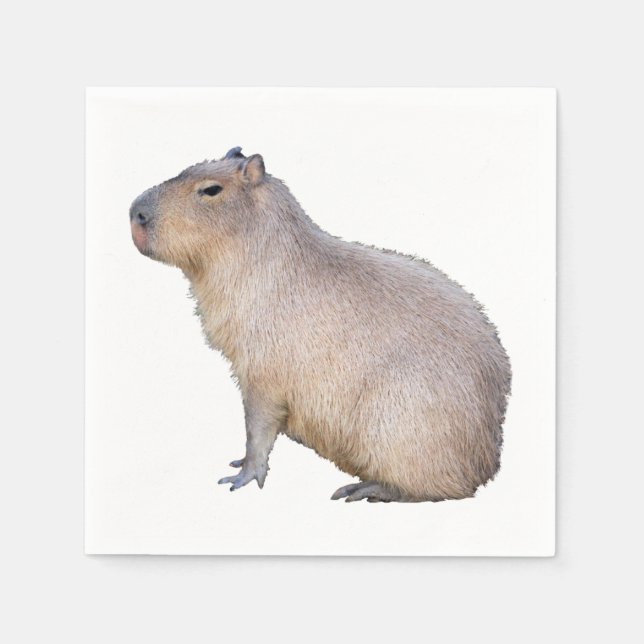 Capybara Serviette (Vorderseite)