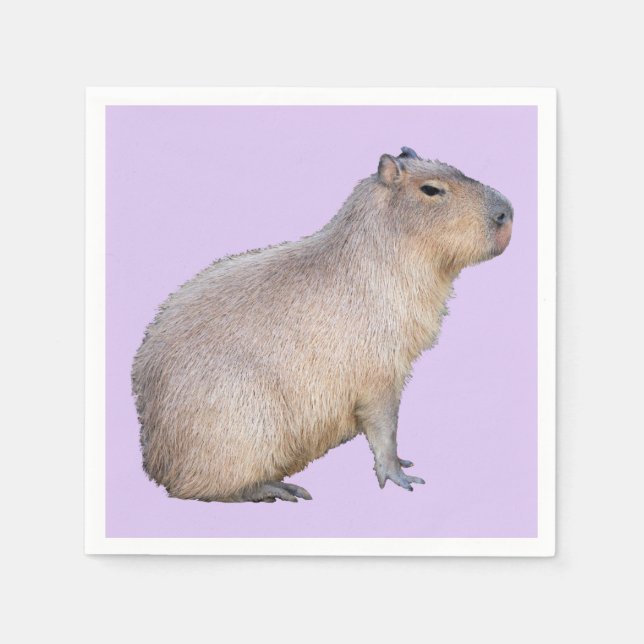 Capybara Serviette (Vorderseite)