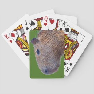 Capybara Spielkarten