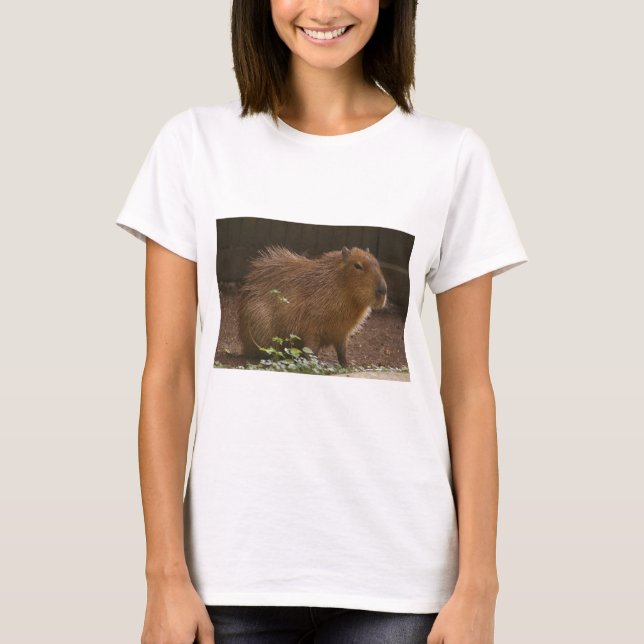 Capybara T-Shirt (Vorderseite)