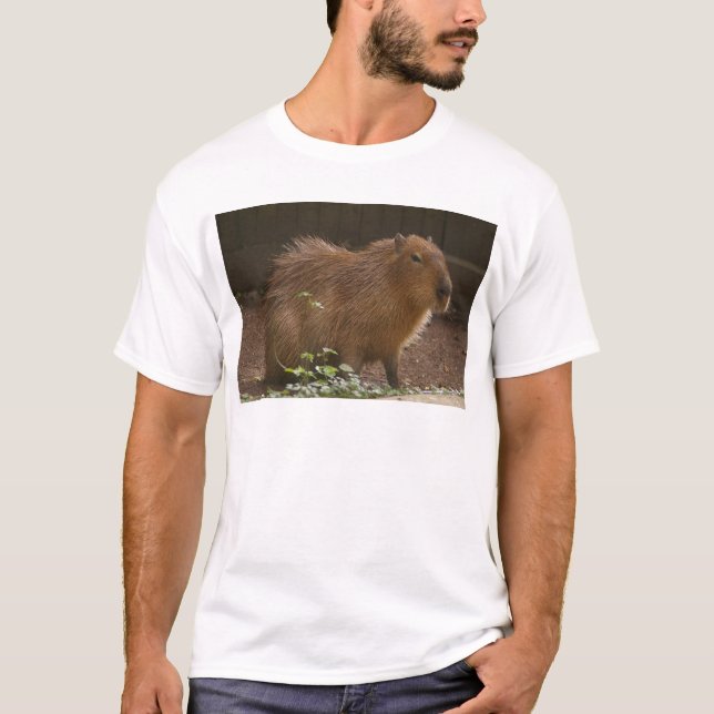Capybara T-Shirt (Vorderseite)