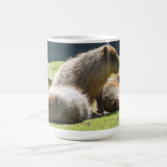 Capybara-Tasse Kaffeetasse (Mittel)