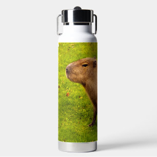 Capybara Trinkflasche