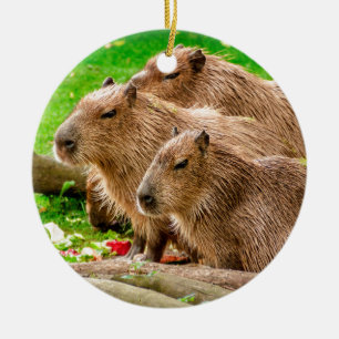 Capybara Trio Keramik Ornament