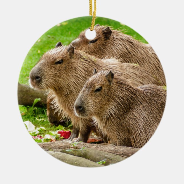 Capybara Trio Keramik Ornament (Vorne)