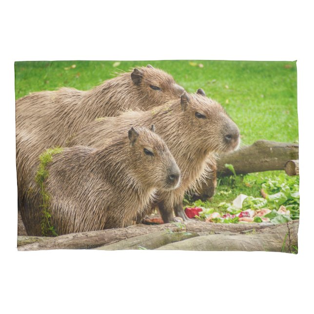 Capybara Trio Kissenbezug (Vorderseite)