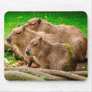 Capybara Trio Mousepad