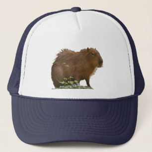 Capybara Truckerkappe