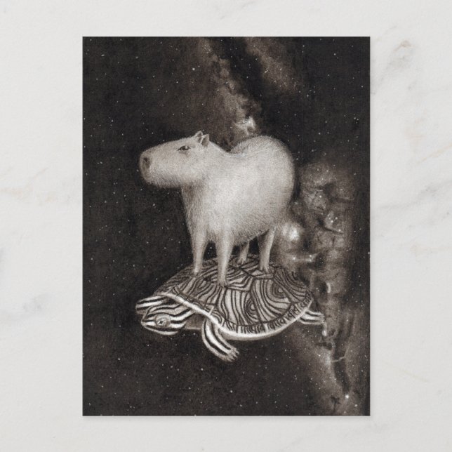 Capybara und Terrapin fliegen durch den Weltraum z Postkarte (Vorderseite)