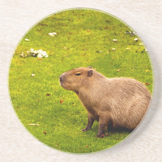 Capybara Untersetzer (Vorne)