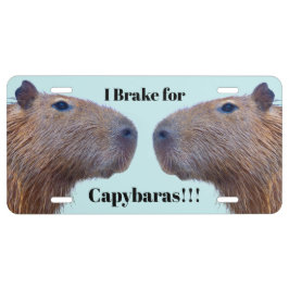 Capybara US Nummernschild