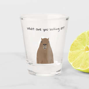 Capybara, was Sie sehen Trinkbehälter Set Schnapsglas