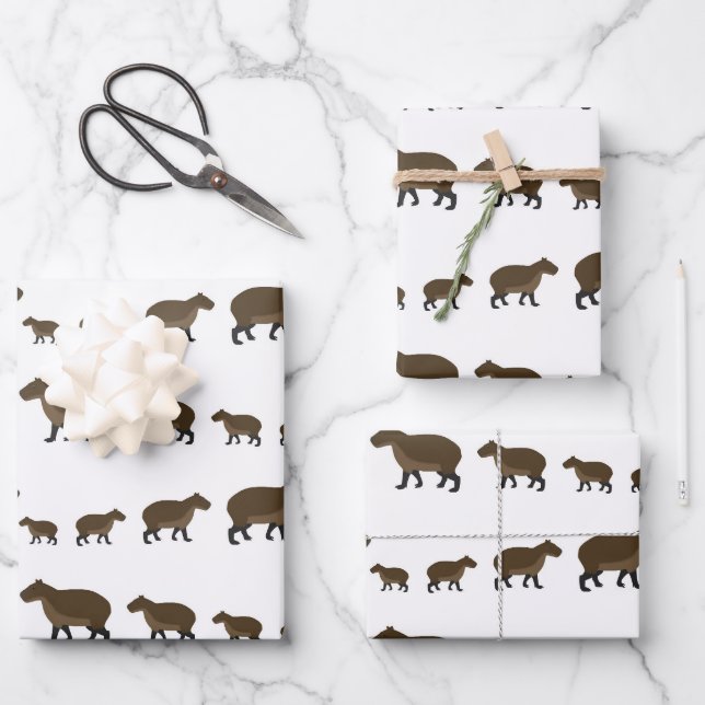 Capybara Wrapping Paper Sheets Geschenkpapier Set (Vorderseite)