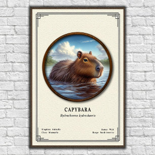 Capybara-Zoologie-Serie Poster