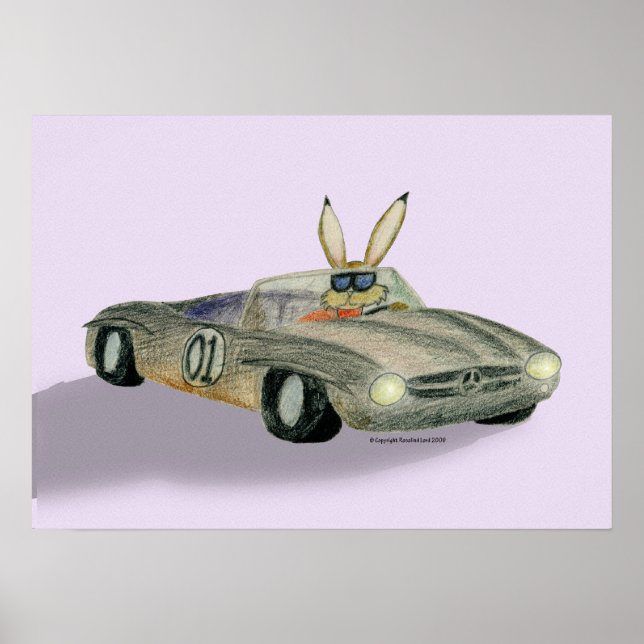 Car Racing Rabbit Poster (Vorne)