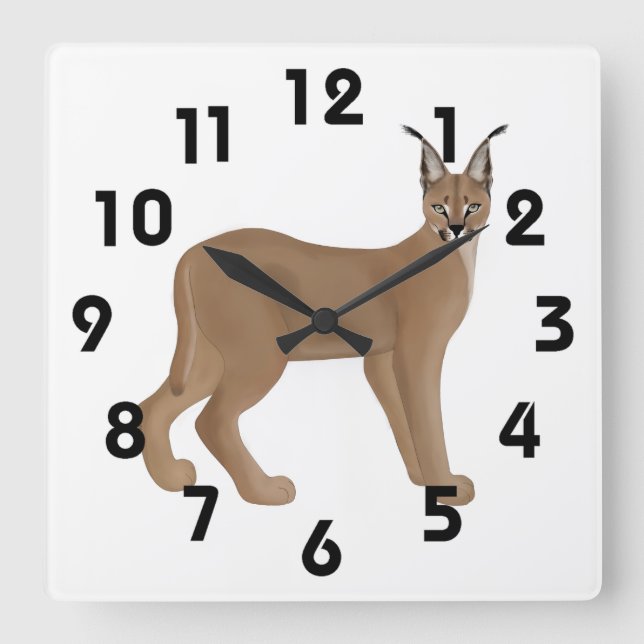 Caracal Clock Quadratische Wanduhr (Vorderseite)