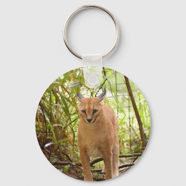 Caracal Lynx Schlüsselanhänger (Vorderseite)
