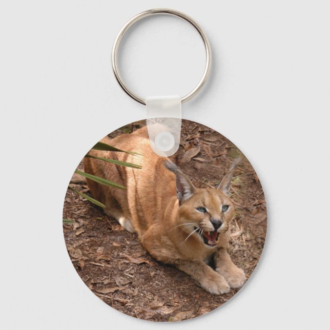 Caracal Lynx Schlüsselanhänger (Vorderseite)