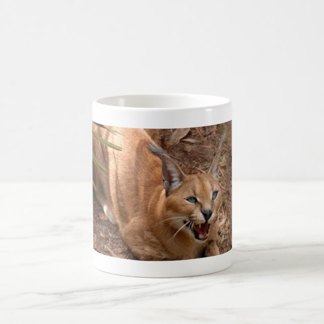 CaracalBCR004 Tasse (Mittel)