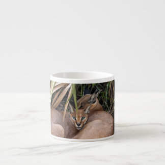 CaracalBCR006 Espressotasse
