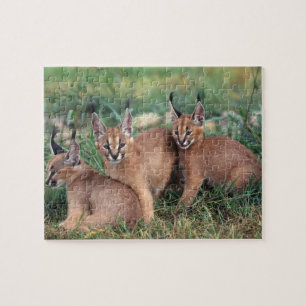 Caracals Spiel-Puzzlespiel Puzzle