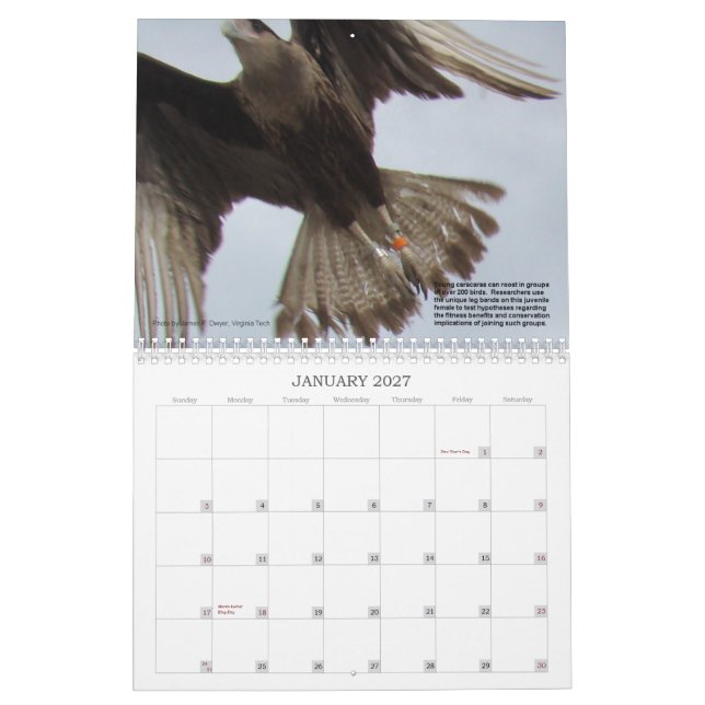 Caracaras von Florida Kalender (Jan 2027)