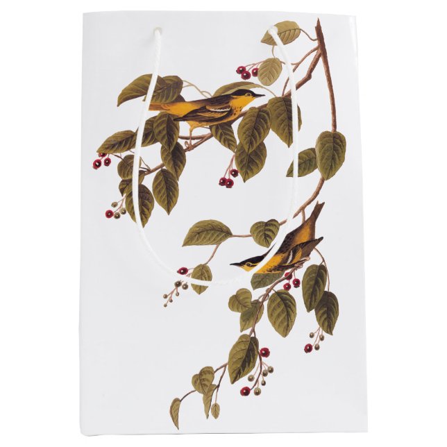 Carbonated Warbler Audubon Bird Mittlere Geschenktüte (Vorderseite)