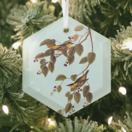 Carbonated Warbler Audubon Bird Ornament Aus Glas