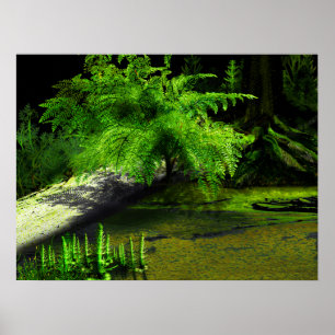 Carboniferous Fern Poster