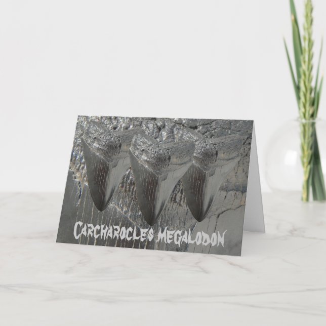 Carcharocles megalodon karte (Vorderseite)