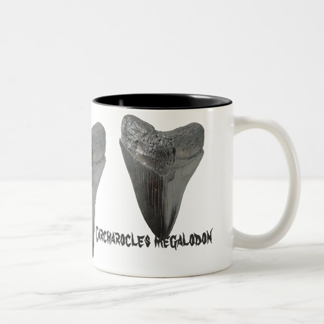 Carcharocles megalodon Zahn Zweifarbige Tasse (Rechts)