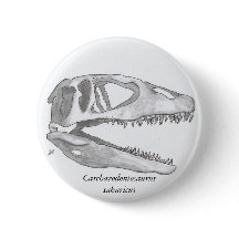 Carcharodontosaurus saharicus Schädelknopf