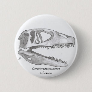 Carcharodontosaurus saharicus Schädelknopf Button