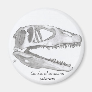 Carcharodontosaurus saharicus-Schädelmagnet Magnet